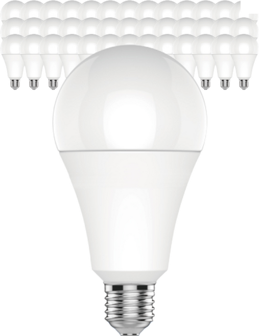 장수램프 LED 전구 15W 40개 세트 벌브 램프 A19, 주광색