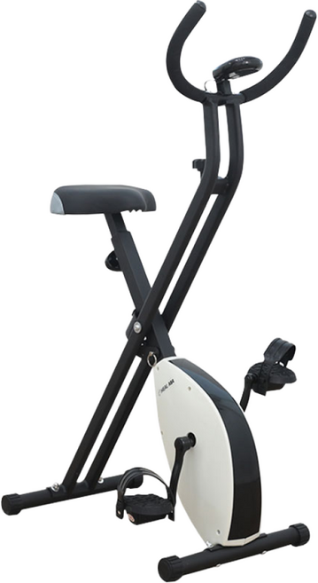 헬마 엑스바이크 TF917 접이식 실내자전거 무소음 헬스자전거 본인직접설치상품, TF917ES1