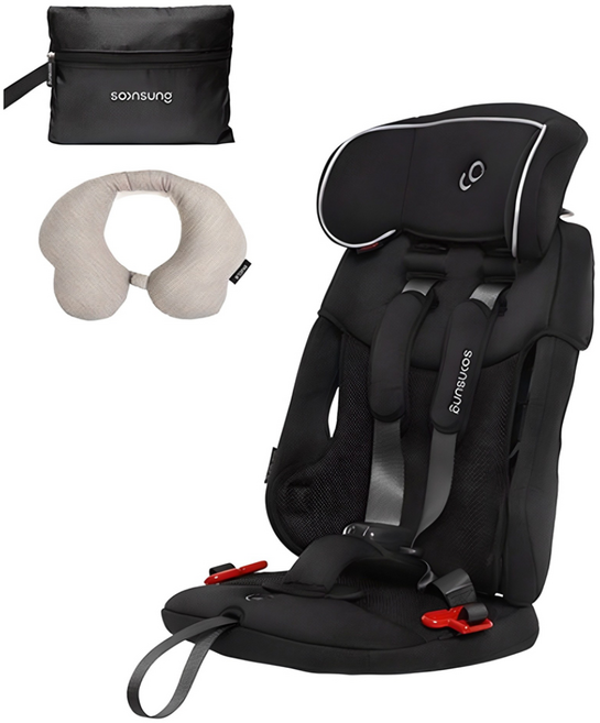 순성 빌리 휴대용 카시트 + 목베개 + 전용백, 블랙