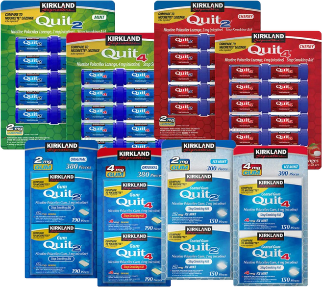 Kirkland Signature Quit 오리지날민트 아이스민트, 오리지널 껌, 380개, 2ml