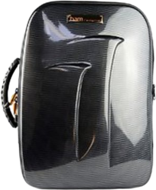 뱀 뉴 트레킹 더블 클라리넷 케이스 black, 1개