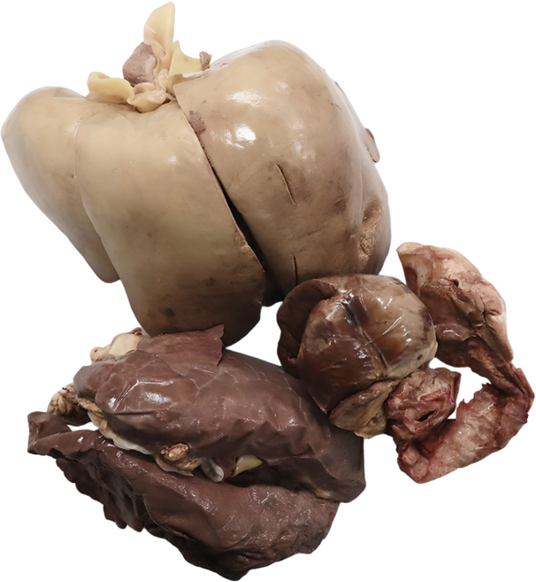 국내산 냉장 돼지내장 모둠 2kg 이상 (간 허파 염통 울대), 1개