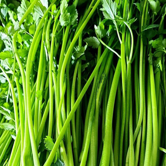 전북 순창 시골 유기농 미나리, 1kg, 1개