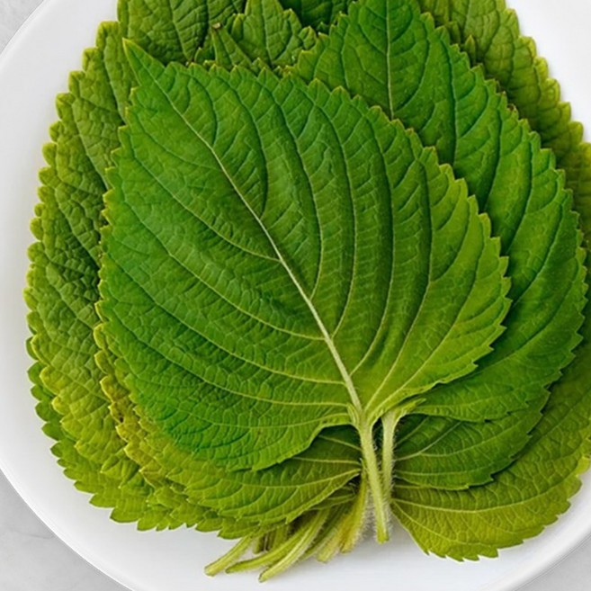 찹찹이 깻잎 1KG 국내산, 찹찹이깻잎 1KG, 1개