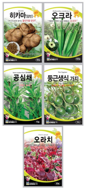 모듬 동남아 채소씨앗 5종 A세트 오크라 히카마 공심채 생식가지 오라치 종자 이색씨앗 모음, 1개