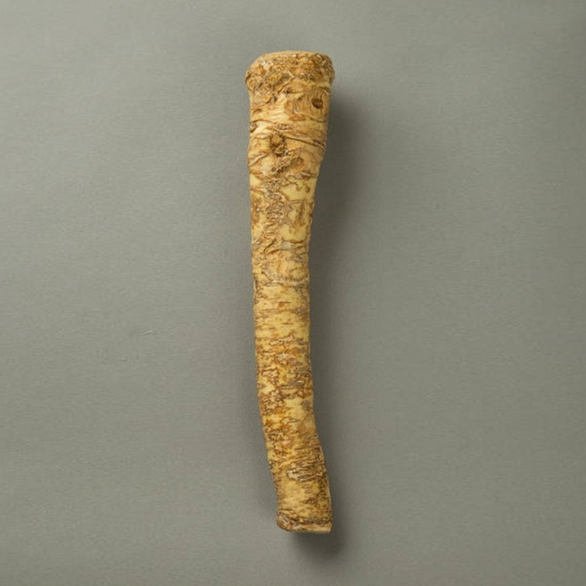 홀스래디시 뿌리채소 소스용 생채소, 250g, 1개