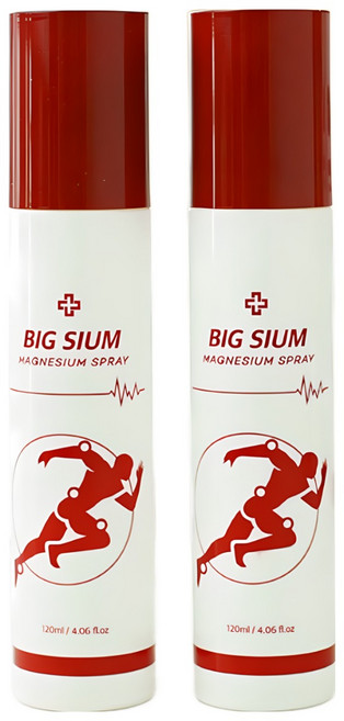 빅슘 뿌리는 마그네슘 스프레이, 120ml, 2개