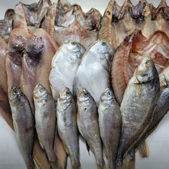 동해바다 해풍 자연건조 반건조 생선, 모듬선물세트(5종11마리), 1세트, 특1호