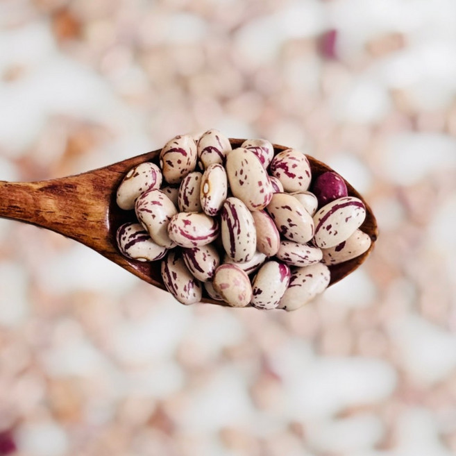 영원농산 중국산 특 강낭콩 25년산 고소한 매화콩 달달한 호랑이콩 얼룩콩 울타리콩, 1개, 1kg