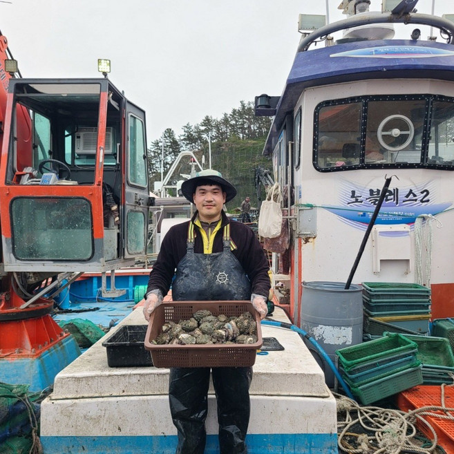 [청산도수산]완도 청산도 활 전복 8미부터 60미까지 1kg 구성 손질칼 증정, 특대 8~9미 1kg, 1개