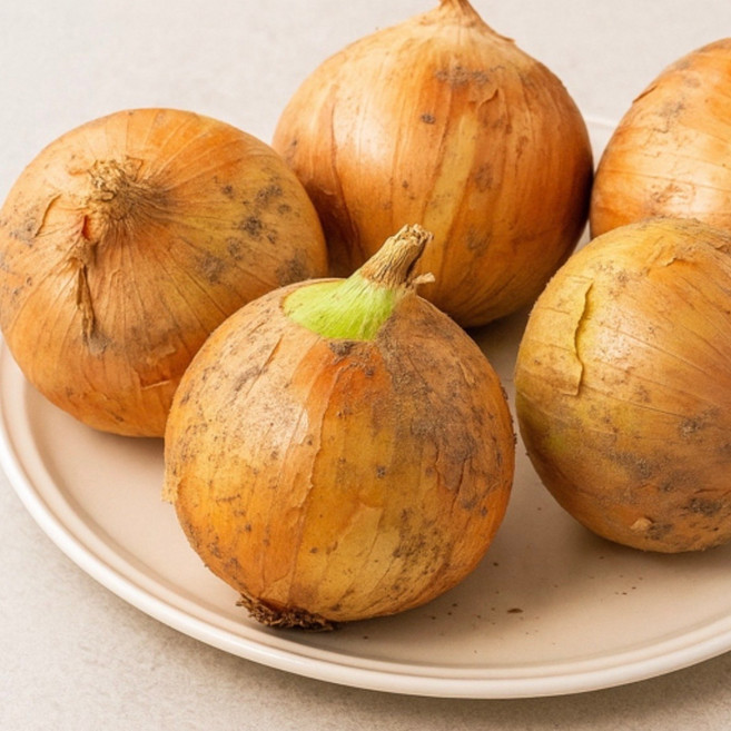 국내산 양파 산지직송 3kg 5kg 10kg, 1개, 5kg 중