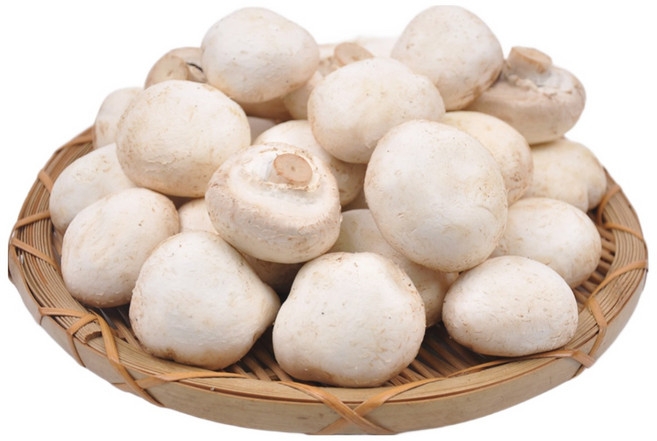 [푸르젠] GAP인증 산지직송 양송이버섯, 1개, 특품 2kg