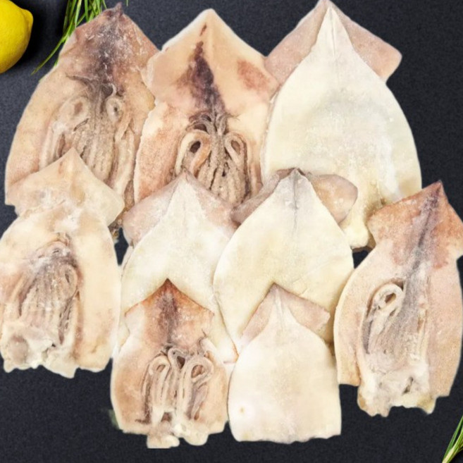 국내산 손질 세척 냉동 오징어 파지 파품, 1박스, 10kg(벌크포장,진공포장X)