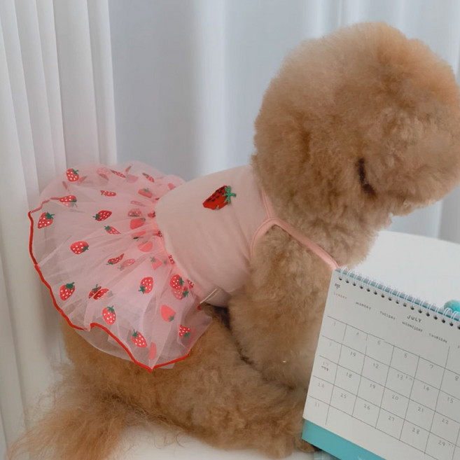 애견 레이스 공주원피스, 화이트, 1개