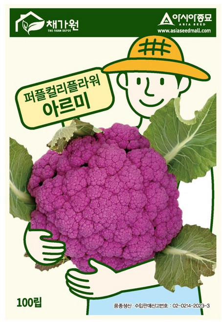 아시아종묘 씨앗 컬리플라워 퍼플컬리플라워 아르미 100립, 1개