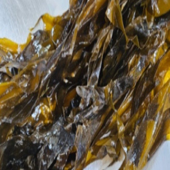 물미역 햇미역 생미역 기장물미역 자연산 미역, 1박스, 1kg