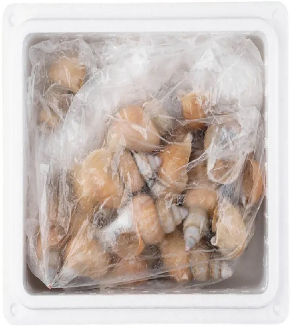 산미담 백고동 동해안 포항 제철 생물 당일조업, 1개, 급냉 소1kg