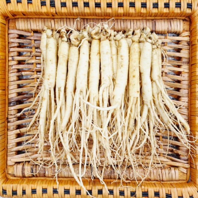 [실속형] 풍기인삼 업소용 삼계탕용 백숙용 세척인삼 300g/ 500g/ 1kg (50~60뿌리) 삼영인삼사, 300g, 1개