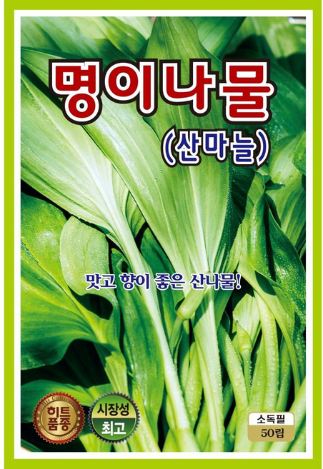 명이나물 씨앗(50립) 산마늘 씨앗 종묘 종자 영웅 KS, 1개