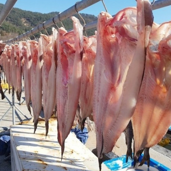 동해 해풍건조 반건조 생선 대구 35cm 내외(300g이상) 찜 구이 선물용 특가판매, 2개, 35cm내외(300g)