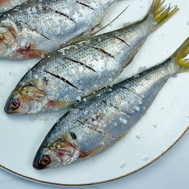 [2025년 첫 출하] 국내산 급냉 전어 전어회 전어구이용, 1개, 1kg (15미 내외)