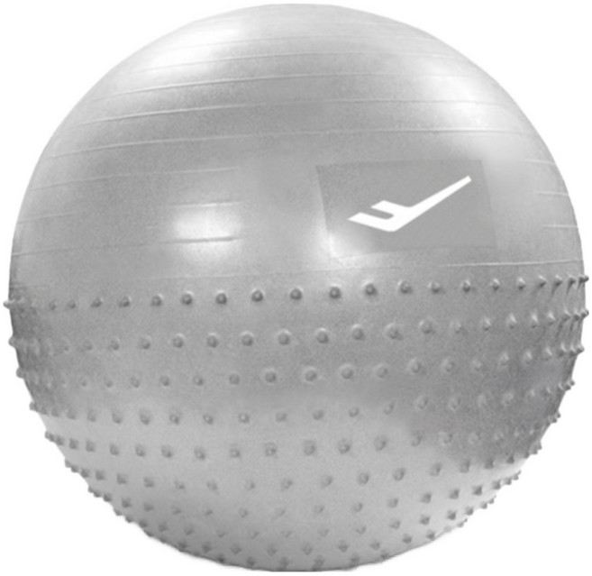 프로-스펙스 PVC 멀티짐볼 65cm 필라테스 요가 마사지