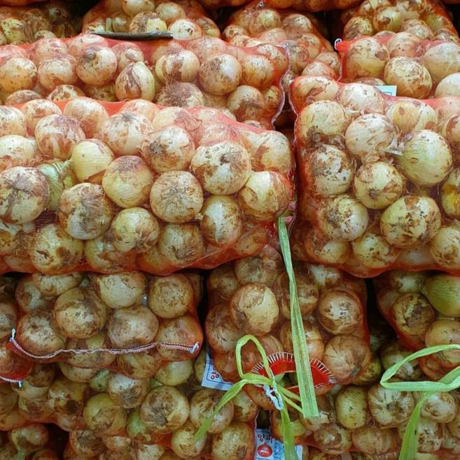 청원농산 햇양파 3kg 5kg 10kg, 햇양파 5kg, 1개