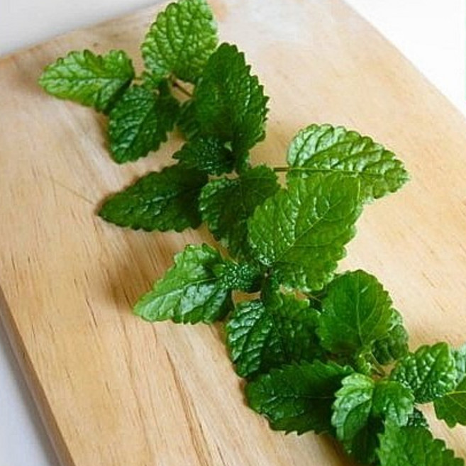 [페퍼앤허브] 레몬향이 가득한 레몬밤 생잎 50g 유기농 식용허브, 1개