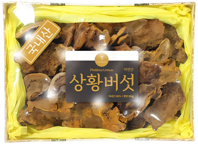 퓨어영 자연산 상황버섯 500g 선물세트 국내산, 1세트