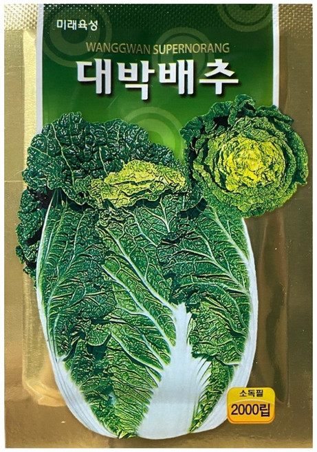 김장무 배추 씨앗 모음 청운무 서호무 황금 항암 베타 불암배추 빨간무 봄동 갓씨, 01.대박배추2000립