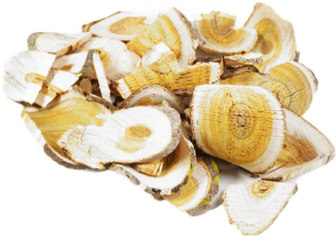 옻나무(300g)-국내산, 1개, 300g