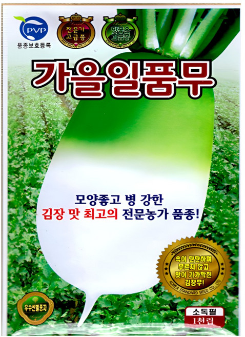 KS종묘 가을일품무 김장용 무 씨앗 전문가 추천 다수확 병강성 강한 1000립 소포장 KS, 1개