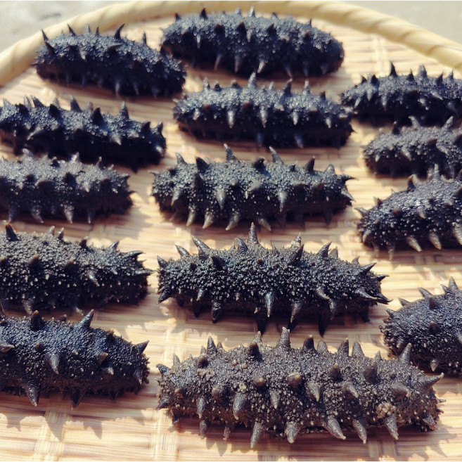 국내산 반건조해삼 200g 자숙해삼/건해삼, 1개, (소)200g