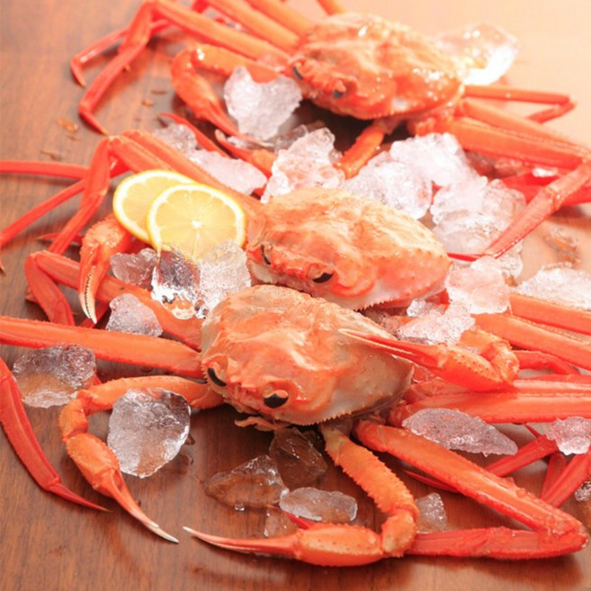 [해정씨푸드]프리미엄 활 생물 홍게 박달홍게 붉은대게 울진 후포리홍게, 1세트, 10미 3kg 내외