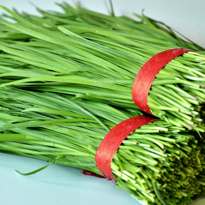 < 바른농산 > 당일수확 국내산 부추 묶음 (1단 700g), 2개, 700g
