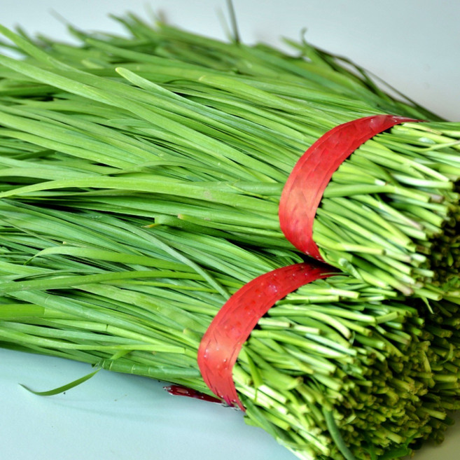 < 바른농산 > 당일수확 국내산 부추 묶음 (1단 700g), 1개, 700g