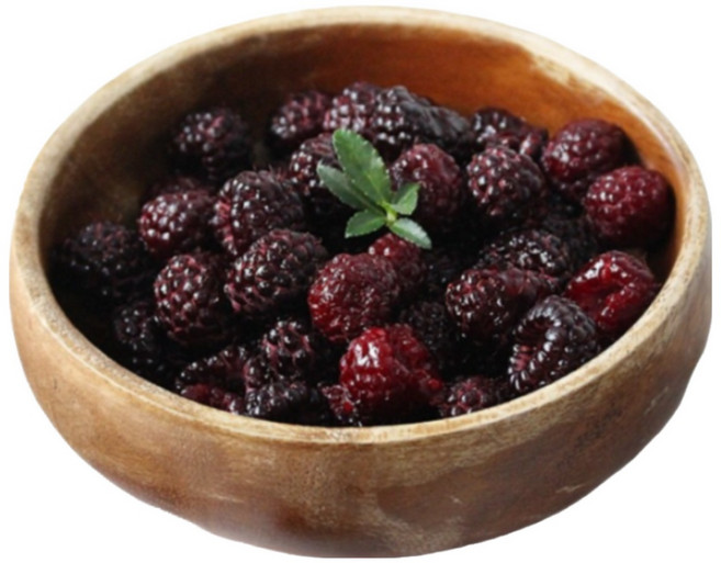 [햇님농장] 유기농 복분자 토종 복분자 1kg 2kg 4kg, 1세트