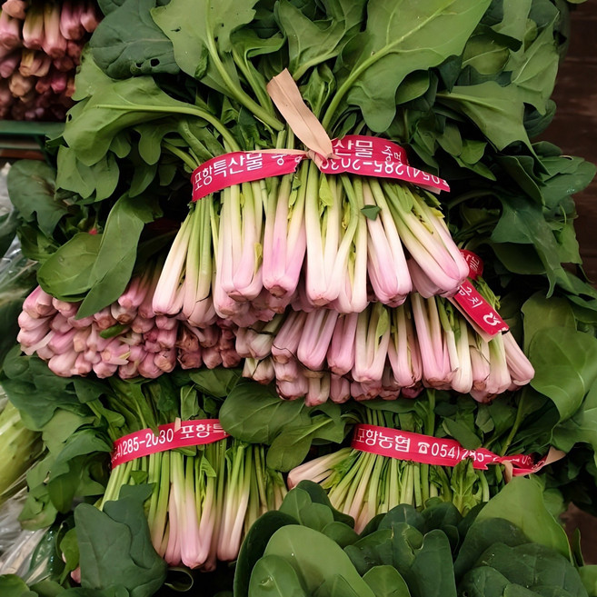 해풍맞은 노지 포항초 시금치, 1개