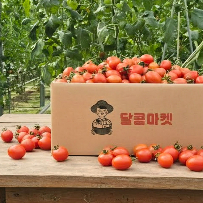 달콤마켓 단단하고 신선한 고당도 대추 방울토마토 토마토, 소과 2kg (2박스 구매시 5kg발송), 1박스, 2kg