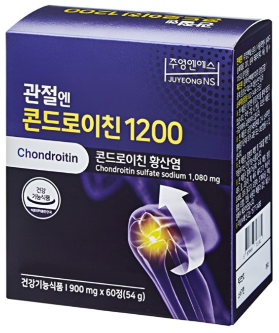 관절엔 콘드로이친 1200 + 생활집사 쇼핑백, 60정, 1개