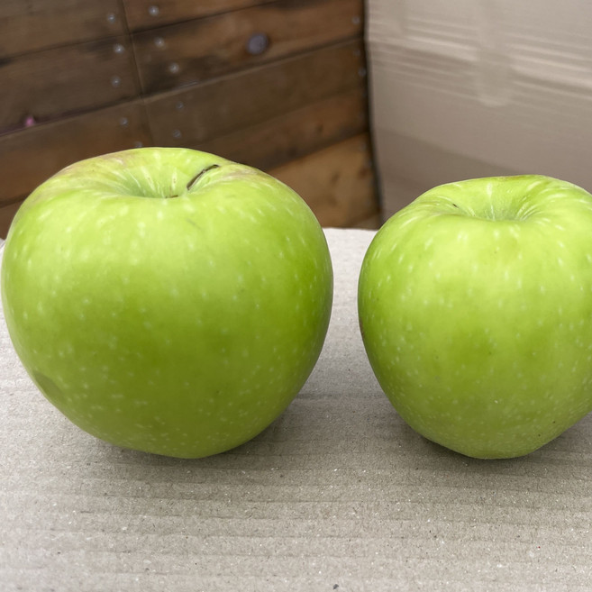아삭아삭 경북 고당도 청사과 (5kg) 여름 제철 프리미엄 과일, 1개, 중대과 3kg (5~12과)