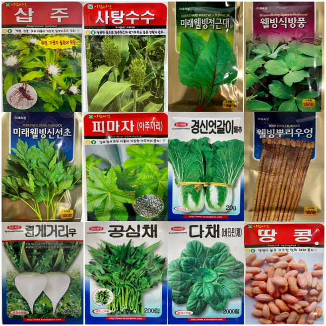 민속채소 약초씨앗 모음 100종 도라지 더덕 잔대 냉이 고들빼기 방아 곤드레 당귀 여주, 10.경신공심채200립, 1개