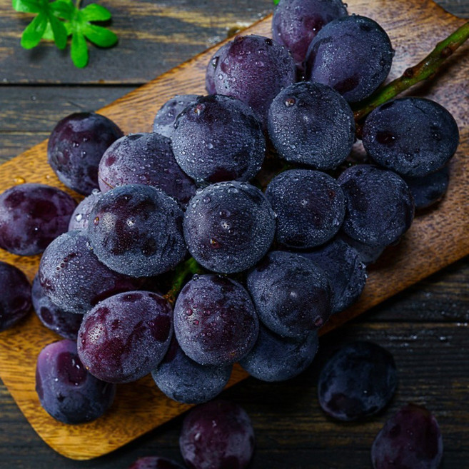 탱글탱글 달콤한 거봉포도 450g 내외 1송이, 1개, 1kg 내외 2-3송이