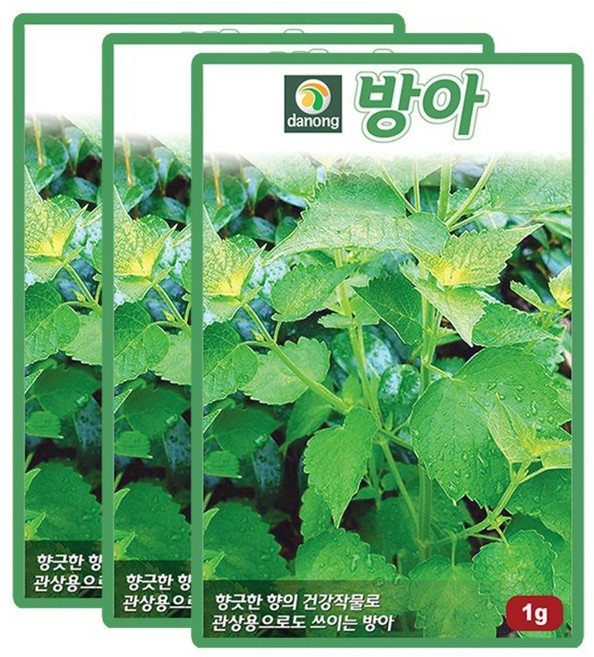 산들마켓 방아 씨앗 1g 방아씨 배초향 허브채소 종자 3개+랜덤씨앗1개 증정, 1개