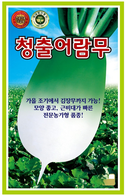 대용량 청출어람 가을무 씨앗 (2000립) 종자 무 가을조기무 여름후기부터가능, 1개