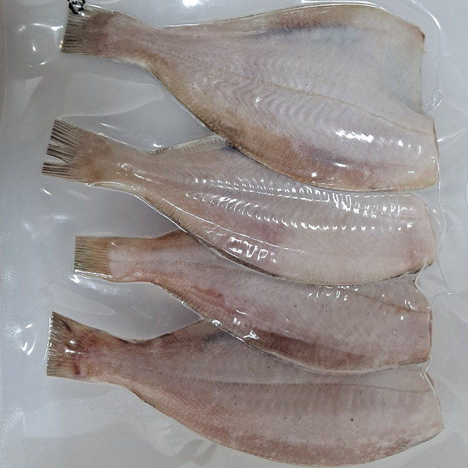 비타민 동해안 반건조 참가자미, 4미(620g) 1팩(4미), 1