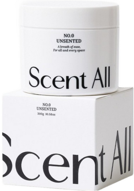 센트올 실내탈취제 알로에향 화장실 담배 새집증후군 실내 집안 홀애비 옷장 냄새 제거, 300g, 1개