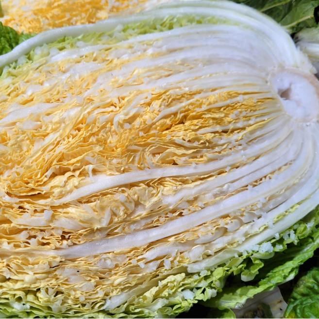 [재주문율 1위] 빛깔 좋은 강원도 절임배추, 20kg, 1개, 출고희망일을입력해주세요