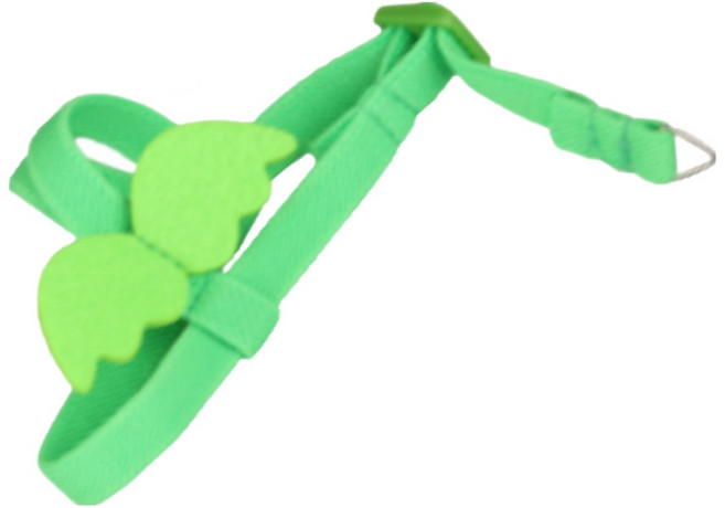 리얼세이지 앵무새 하네스 산책 리드줄, M, 그린, 1개