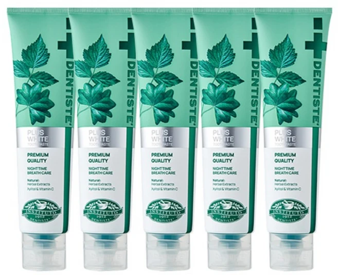 e세상 덴티스테 플러스화이트 튜브60g100g160g택1 치약, 60g, 5개 - 쿠팡